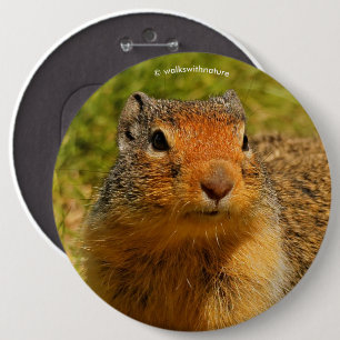 A Twitchy-Nosed Columbian Ground Squirrel 6 Inch Round Button
