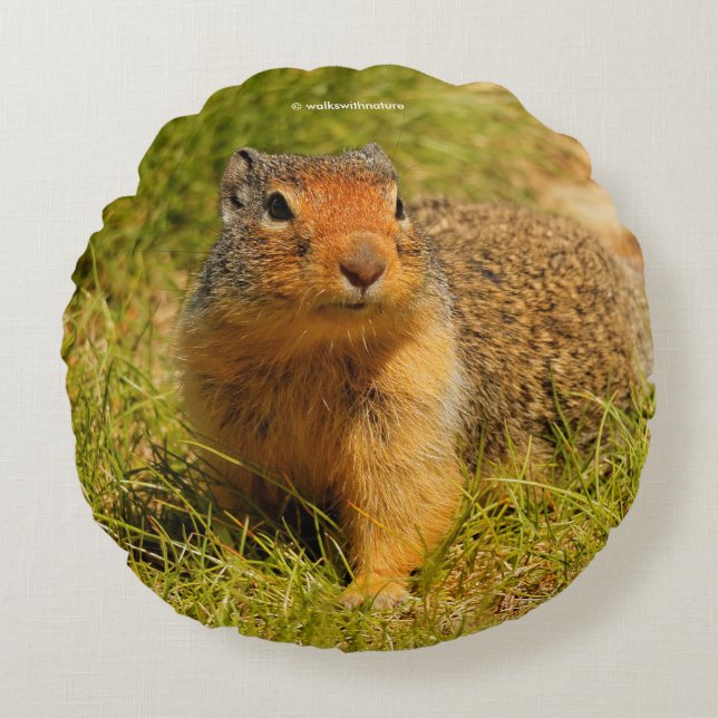 A Twitchy-Nosed Columbian Ground Squirrel Round Pillow (Front)