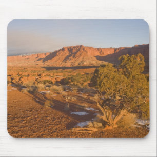 A Utah Juniper Juniperus osteosperma) tree in 2 Mouse Pad