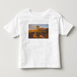 A Utah Juniper Juniperus osteosperma) tree in Toddler T-shirt