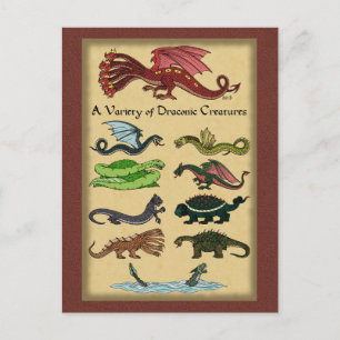 A Variety of Draconic Creatures Postcard