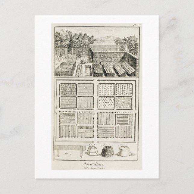 A vegetable garden, from 'The Encyclopedia of Scie Postcard (Front)