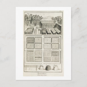 A vegetable garden, from 'The Encyclopedia of Scie Postcard