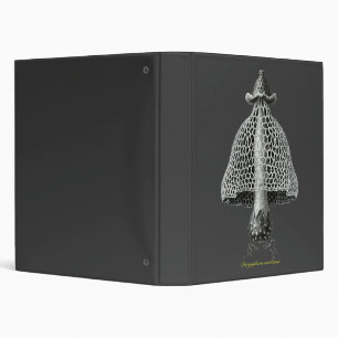 A veiled stinkhorn binder