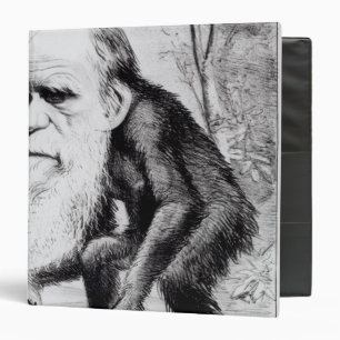 A Venerable Orang Outang, from 'The Hornet' Binder