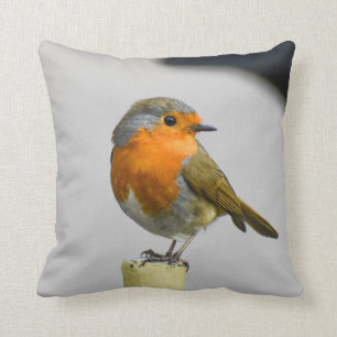 A Very Stunning Robin Throw Pillow