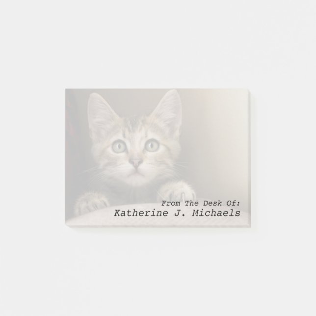A Very Sweet Tabby Kitten Post-it Notes (Front)