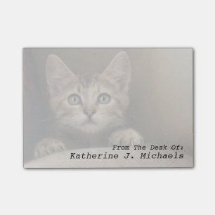 A Very Sweet Tabby Kitten Post-it Notes