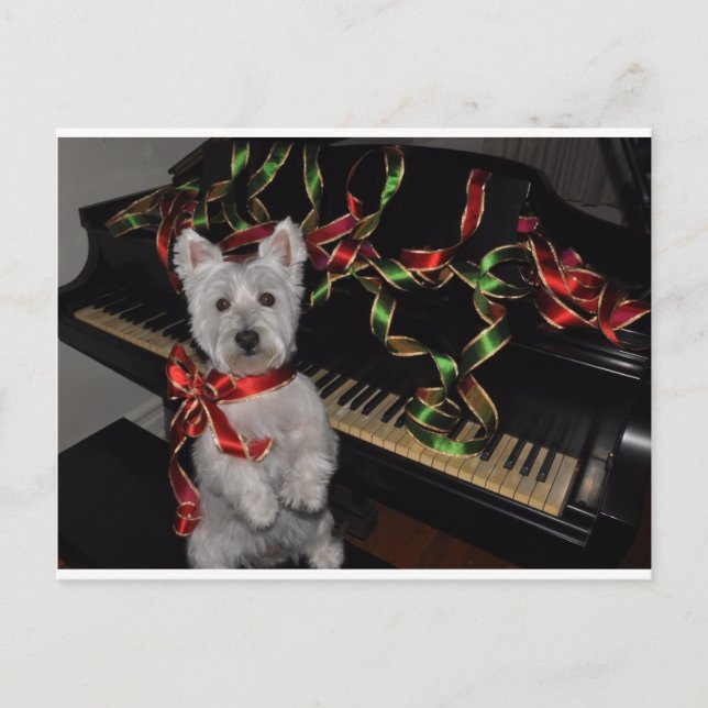 A Very Westie Christmas Holiday Postcard (Front)