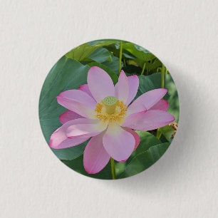 A vibrant lotus flower 1 inch round button