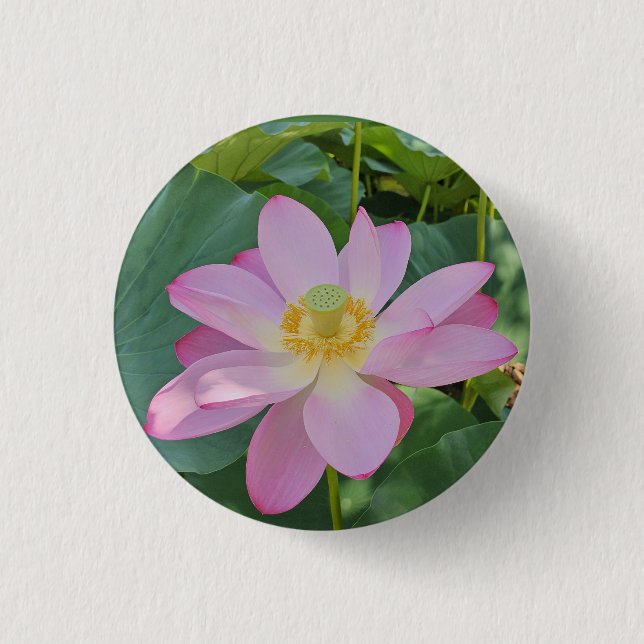 A vibrant lotus flower 1 inch round button (Front)