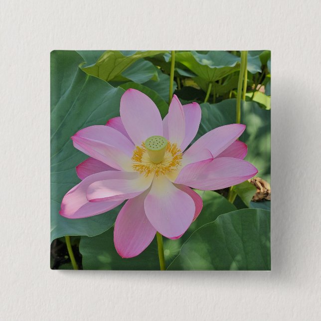 A vibrant lotus flower 2 inch square button (Front)