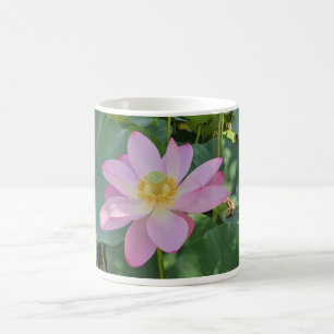 A vibrant lotus flower coffee mug