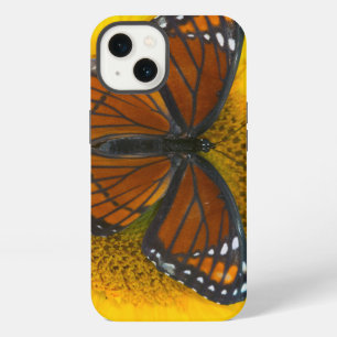 A Viceroy Butterfly Limenitis Archippus iPhone 13 Case