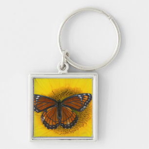 A Viceroy Butterfly   Limenitis Archippus Keychain