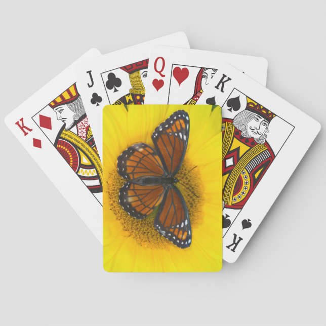 A Viceroy Butterfly | Limenitis Archippus Playing Cards (Back)
