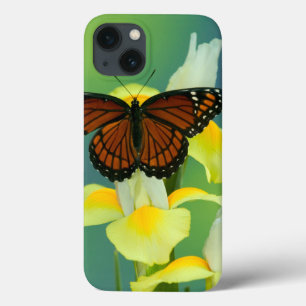 A Viceroy Butterfly on a Yellow Japanese Iris iPhone 13 Case