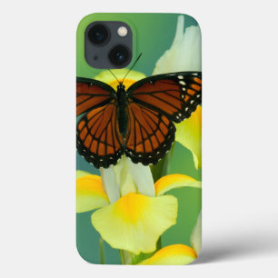 A Viceroy Butterfly on a Yellow Japanese Iris iPhone 13 Case