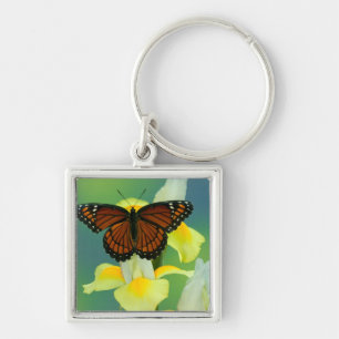A Viceroy Butterfly on a Yellow Japanese Iris Keychain