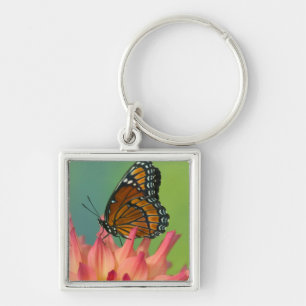 A Viceroy Butterfly on a Zinnia Keychain