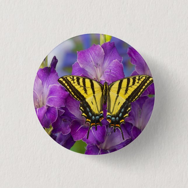 A Viceroy Butterfly on Purple Glads 1 Inch Round Button (Front)