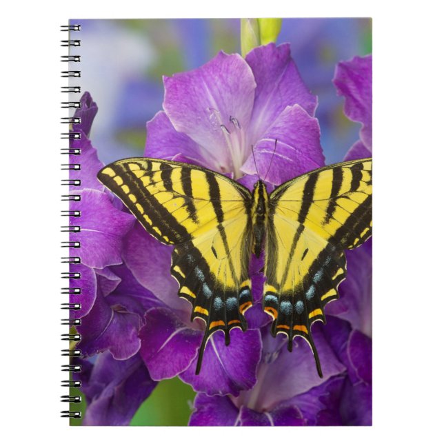 A Viceroy Butterfly on Purple Glads Notebook (Front)