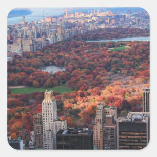 A view from above: Autumn in Central Park 01 Square Sticker