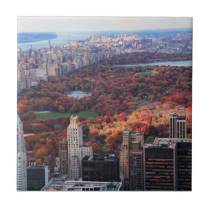 A view from above: Autumn in Central Park 01 Tile