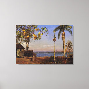 A View in the Bahamas by Bierstadt Albert. Canvas Print