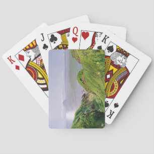 A View of Ailsa Craig and the Isle of Arran, 1860 Playing Cards