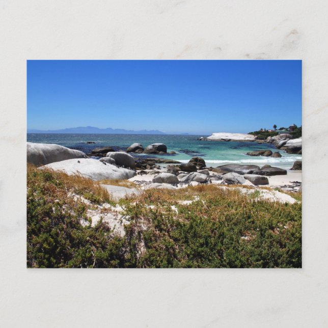 A view of Boulders beach and its famous penguins Postcard (Front)