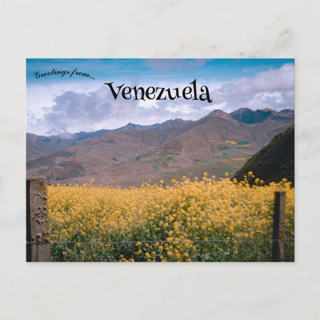 A View of Mérida Venezuela Postcard (Front)