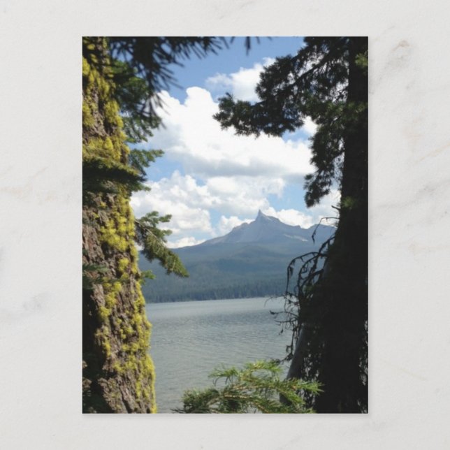 A view of Mt. Thielsen across Diamond Lake. Postcard (Front)
