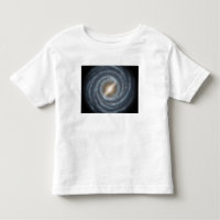 A view of our own Milky Way Galaxy
