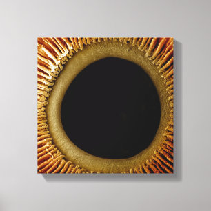 A view of the inner surface of the iris canvas print