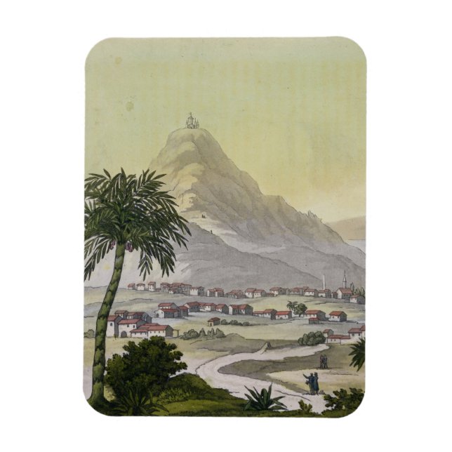A view of the township of Lima, Peru, from 'Le Cos Magnet (Vertical)
