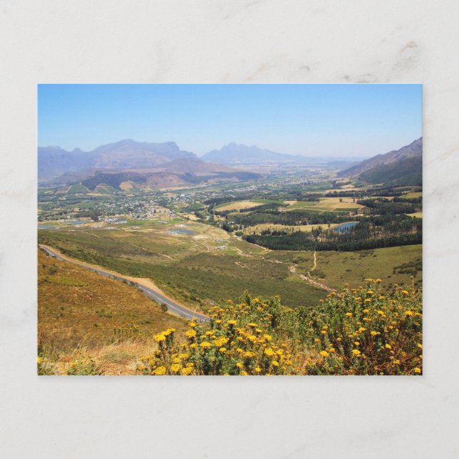 A view over the winelands of Franschhoek Postcard (Front)