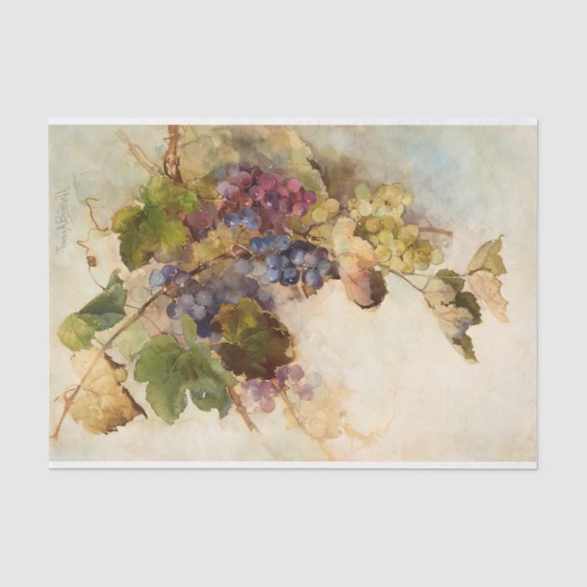 A Vine of Grapes by Franz Bischoff Tissue Paper (Front)