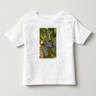 A vine with ripe Merlot grape bunches - Chateau Toddler T-shirt