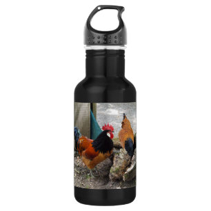 A Vorwerks Chicken pair, Rooster and Hen Eating 532 Ml Water Bottle