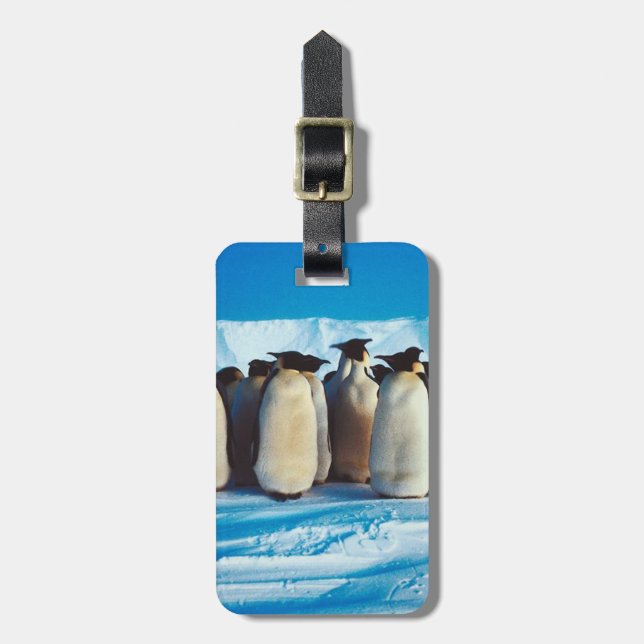 A Waddle of Penguins Luggage Tag (Front Vertical)