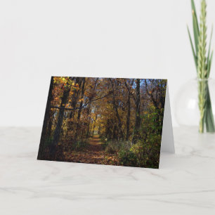 A Walk At Estel Wetlands #1 Card