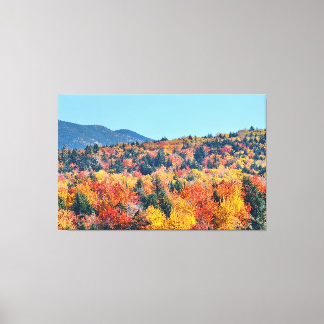 A Walk in Nature Canvas Print (Front)