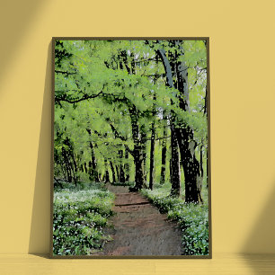 A walk in the forest poster