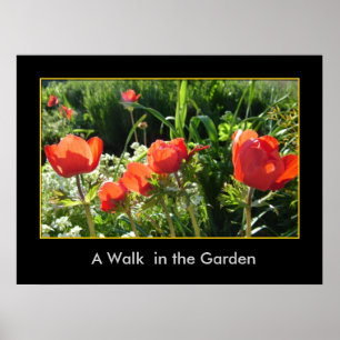 A Walk  in the Garden Poster
