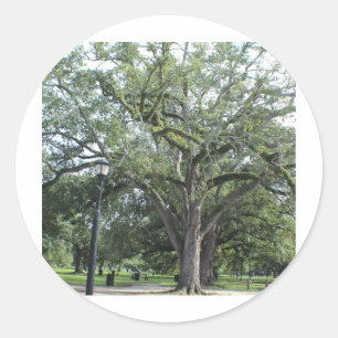 A Walk in the Park Classic Round Sticker