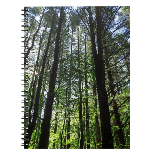 A Walk in the Woods Journal (Front)