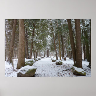 A Walk in the Woods Poster