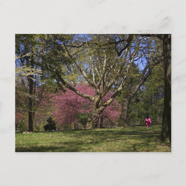 A Walk Postcard (Front)