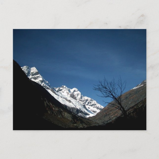 A WALK POSTCARD (Front)